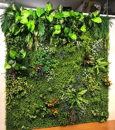 The Unmatched Advantages of Artificial Green Walls Over Live Plant Walls